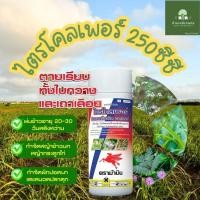 ราคา ไตรโคลเพอร์ สารไตรโคลเพอร์ 250 ซีซี สารกำจัดตอไม้ ตอยาง เก็ยหญ้าในนาข้าวอายุ30วัน ตราม้าบิน (20393660345)