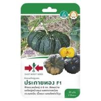 ราคา 789 Shoponline เมล็ดผัก ฟักทองผลใหญ่ลูกผสม F1 ประกายทอง ศรแดง เม็ดผัก (11248413013)
