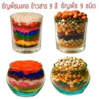 ราคา ✑ข้าวสารสี 9 สี ,ธัญพืช 9 ชนิด เลือกสีข้าวเองได้ ฟรี กำยาน 1 แท่ง (แก้ว 1 ใบ,ข้าวสารสี 9 สี หรือ ธัญพืช 9 ชนิด) (11011150415)