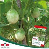 ราคา มะเขือเปราะ หยาดทิพย์ ทรงหยดน้ำ ศรแดง 150เมล็ด เมล็ดพันธฺุ์มะเขือ (1006493180)