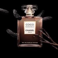 ราคา Chanel Coco Mademoiselle Edp Intense 100 Ml แท้ (29800657420)