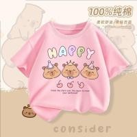 ราคา เสื้อยืดแขนสั้นเด็กผู้ชาย 2025 ฤดูร้อนใหม่ผ้าฝ้ายด้านบนเด็กการ์ตูนแก๊สครึ่งแขน (44222512088)