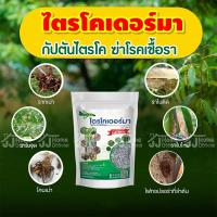 ราคา กัปตันไตรโค ไตรโคเดอร์มา Trichoderma ฆ่าโรคเชื้อรา กำจัดรา ฆ่าเชื้อรา (500กรัม) ปลอดภัย 100 % (19184077800)