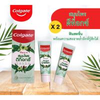 ราคา Colgate ปัญจเวท ยาสีฟันสมุนไพรดีท็อกซ์ ยาสีฟันแพ็คคู่ 120 กรัม (22841033490)