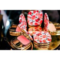 ราคา Dolce & Gabbana ( D&G ) Blush Of Roses luminous cheek 5g (12953209207)
