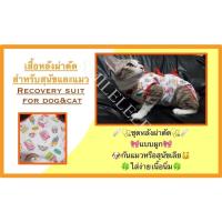 ราคา เสื้อหลังผ่าตัดสุนัขและแมวแบบผูก เสื้อกันสุนัขและแมวเลียหลังผ่าตัดทำหมัน *ลูกค้าประจำรบกวนเช็คตารางไซส์อีกครั้งนะคะ* (9351108955)