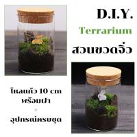 ราคา ชุดจัดสวนขวด โหลแก้ว10ซม พร้อมอุปกรณ์ Terrarium DIY (41408428901)