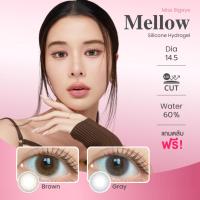 ราคา ขนาดกลาง | Mayalens - Mellow (Brown/Gray) คอนแทคเลนส์ ค่าอมน้ำ 60% (29621293139)