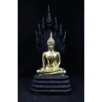 ราคา พระพุทธนาคปรก พระนาคปรก วัดนาคปรก ปี2548 เนื้อทองเหลือง หน้าตัก9นิ้ว (40162164603)