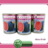 ราคา แตงโม กินรี 101 เมล็ดพันธุ์แตงโมลูกผสม กินรี 101 ตราตะวันต้นกล้า ปริมาณ 40 กรัม (18686038353)