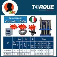 ราคา ปั้มบาดาล ซับเมอร์ส อิตาลีแท้ บ่อ 4นิ้ว มีกำลัง/ขนาดท่อ/ใบพัด ใหเลือก 2แรง/2นิ้ว/14ใบพัด , 3แรง/2นิ้ว/21ใบพัด TORQUE (28527587675)
