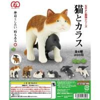 ราคา กาชาปองแมว และ นกกา / Gashapon Friends animal series (cat and crow) (25821519509)