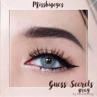 ราคา คอนแทคเลนส์ รุ่น Guess สีเทา (1619245149)