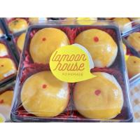 ราคา ละมุนเฮ้าส์โฮมเมด ขนมเปี๊ยะแป้งนุ่มไส้ถั่วทอง/ถั่วไข่เค็ม (5188363627)