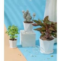 ราคา (สินค้าพร้อมส่ง)กระถางต้นไม้พร้อมจานรอง กระถางตั้งโต๊ะ กระถางต้นไม้พลาสติก (ML-High) (15734758953)