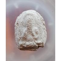 ราคา พระปิดตาเนื้อผงเก่า(ไม่ทราบที่) No.42639106 (41574673030)