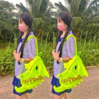 ราคา กระเป๋ากิ้งก่า​ กระเป๋าไดโนเสาร์​ 5​ สี (ส่งจากไทย)​ (23412466097)