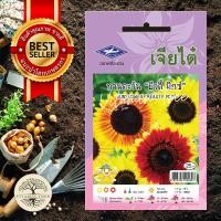 ราคา เมล็ดพันธุ์ ดอกทานตะวัน บิวตี้มิกซ์ (7551412708)