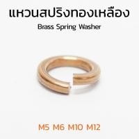 ราคา (J) แหวนสปริงทองเหลือง M5 M6 M10 M12 แหวนกันคลายวัสดุทองเหลือง แหวนทองเหลือง Brass Spring Washer (23037401498)