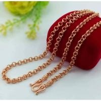 ราคา #สร้อยคอนาคห่วงคู่น้ำหนัก1บาท#สร้อยคอนาค (22509388151)