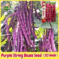 ราคา เมล็ดพันธุ์ถั่วแขกสีม่วง Purple Bush Bean 20 เมล็ด Organic Vegetable Seeds for Planting เมล็ดถั่วแขกสีม่วง ผักออร์แกนิก (26684051154)