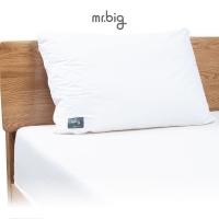 ราคา หมอน mr.big นอนสบาย ไม่ปวดคอ (10279462724)