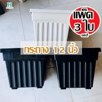 ราคา กระถางต้นไม้ 12 นิ้ว (แพ็ค 3 ใบ) คละสี กระถางสี่เหลี่ยม กระถางปลูกต้นไม้ กระถางพลาสติก เนื้อดี สวย (3387441208)