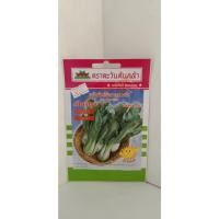 ราคา เมล็ดผักกาดฮ่องเต้ เชียงตุง V28 (25173758812)