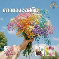 ราคา ดอกยิปโซ ช่อดอกยิปโซปลอม ดอกไม้ฤดูหนาว ดอกไม้ปลอมๆ ดอกไม้แต่งบ้าน สําหรับตกแต่งบ้าน งานแต่งงาน (26080581040)