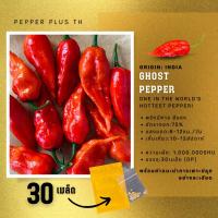 ราคา เมล็ดพันธุ์พริกปีศาจ 30เมล็ด 1M SHU Ghost pepper (Bhut jolokia pepper) (10266268858)