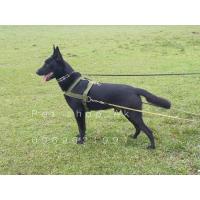 ราคา เข็มขัดลากจูงพิทบูลลากยางสุนัขใหญ่เครื่องมือฝึกกายภาพสุนัข(กว่า22กิโลกรัม (41213532902)