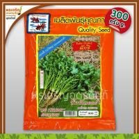 ราคา เมล็ดพันธุ์ผักชี ผักชีบิ๊กทันเดอร์ ออกดอกช้า (300 กรัม) เมล็ดผักชีปลาทอง ผักชีกอใหญ่ เมล็ดพันธุ์ผักสวนครัว ตราปลาทอง (28826632302)