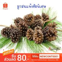ราคา ลูกสน คัดพิเศษ แพ็ค ครึ่ง กิโลกรัม ไม่รวมกล่อง คละไชส์ Pinecorn ลูกสน พร๊อบถ่ายรูป ลูกสนแห้ง ลูกสนธรรมชาติ (2617315173)