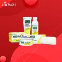 ราคา Thursday Plantation ผลิตภัณฑ์ทำความสะอาดผิวหน้า มีส่วนผสม ที ทรี ออยล์ และคาโมมายล์ ลดการสะสมสิ่งสกปรกสาเหตุการเกิดสิว (19113279727)