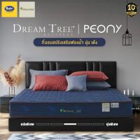 ราคา Dream Tree ที่นอนสปริงเสริมฟองน้ำ หนา 9 นิ้ว รุ่น Peony [แถมฟรี! หมอนหนุน] (9131704512)
