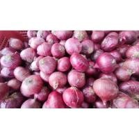 ราคา หอมแดงแขก หอมแขก 500 กรัม (21374294743)