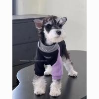 ราคา สุนัขสุนัขเสื้อผ้าสุนัขสัตว์เลี้ยงลูกแมวลูกสุนัขเสื้อผ้าสุนัขขนาดเล็กลูกแมวลูกสุนัขสุนัขขนาดเล็กพร้อมสต็อก20251021 (42075293276)