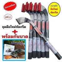 ราคา ชุดมีดกรีดยาง พร้อมกันบาด สำหรับมือใหม่หัดกรีด ป้องกันกรีเบาดต้น ลึกเข้าแกน (มีด1+กันบาด1) (40319101148)