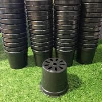 ราคา กระถางพลาสติกกลม 2.5 นิ้ว สีดำ (7237519805)