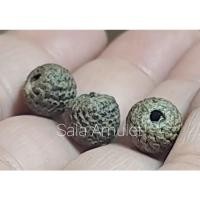 ราคา ลูกอมโสฬสมงคล(ลูกอมเศรษฐี)หลวงปู่ศุข วัดปากคลองมะขามเฒ่า (21515393181)