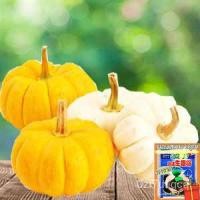 ราคา （คุณภาพสูง เมล็ด）ฟักทองมงคลคละสีถูกที่สุด10บ.☘️เมล็ดพันธุ์ฟักทองลิตเติ้ล 3 เมล็ด ☘️ปลูกง่ายขึ/ดอก ผัก ปลูก /ดอก XBIN (14495396340)