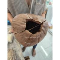 ราคา ลูกมะพร้าว (เปิดตรงกลางได้) บ้านนกหงส์หยก ชูการ์ไกรเดอร์ กระรอก (3380397475)