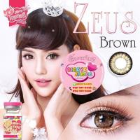 ราคา KittyKawaii Zeus Eff.19 Brown ใหญ่ (24576644105)