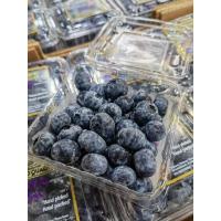 ราคา บลูเบอร์รี่เปรูsizeจัมโบ้ กล่อง12แพ็ค (19384587424)