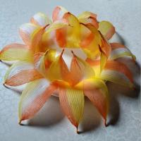 ราคา กระทง 1 ใบ ทำจาก #จานชานอ้อย และกระดาษ ย่อยสลายง่าย #อาหารปลาข้าวโพด #กลีบกระทง #กระทงข้าวโพด #ฐานกระทง (42971578969)