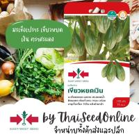 ราคา Sorndang(ศรแดง) Sorndang(ศรแดง) GGEW เมล็ดพันธุ์ มะเขือตอแหร มือเขือเปราะ เขียวหยดเงิน ประมาณ 150 เมล็ด ตราศรแดง Eggp... (26309759209)