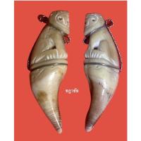 ราคา เขี้ยวหมีแกะเสือ ขนาด3นิ้ว หลวงตาแก่ วัดบางผึ้ง (13029128815)