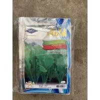 ราคา เมล็ดชุนฉ่ายเจียไต๋ (7455193241)