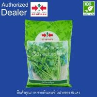 ราคา เมล็ดพันธุ์ ผักชี สายพิรุณ ตราศรแดง ขนาด 300 กรัม (3947741421)
