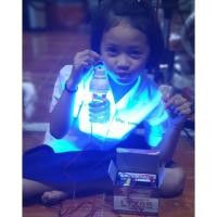 ราคา หลอดไฟล่อแมลง DC12V 40W (1449131450)